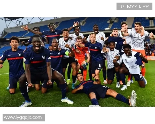 回顾2014年法国队足球明星阵容及其在世界杯上的精彩表现 回顾2014年法国队足球明星阵容及其在世界杯上的精彩表现